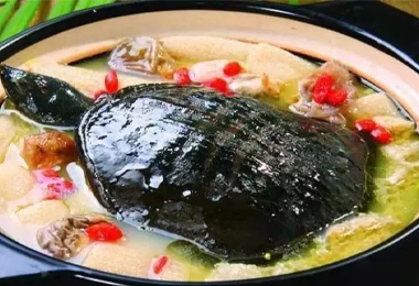 甲魚雞子牛鞭煲培訓(xùn)